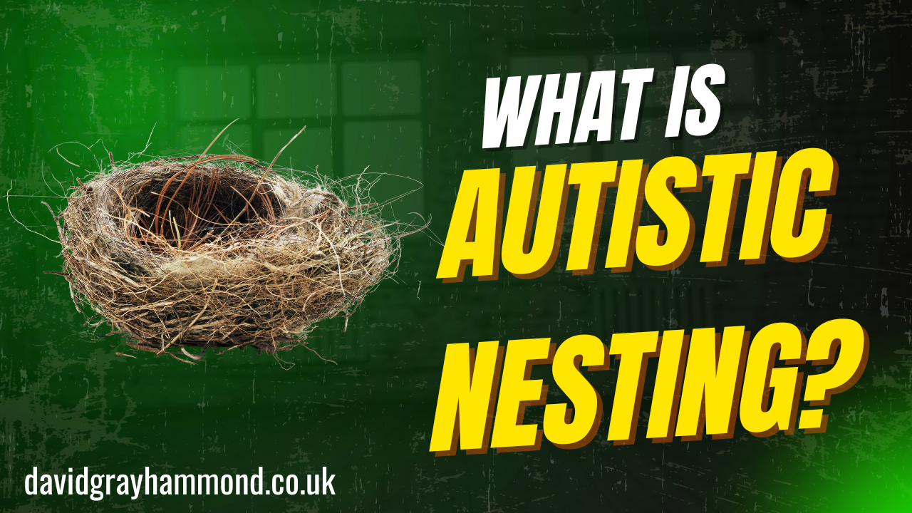 Autistic Nesting as the Physical Architecture of Lilipadding