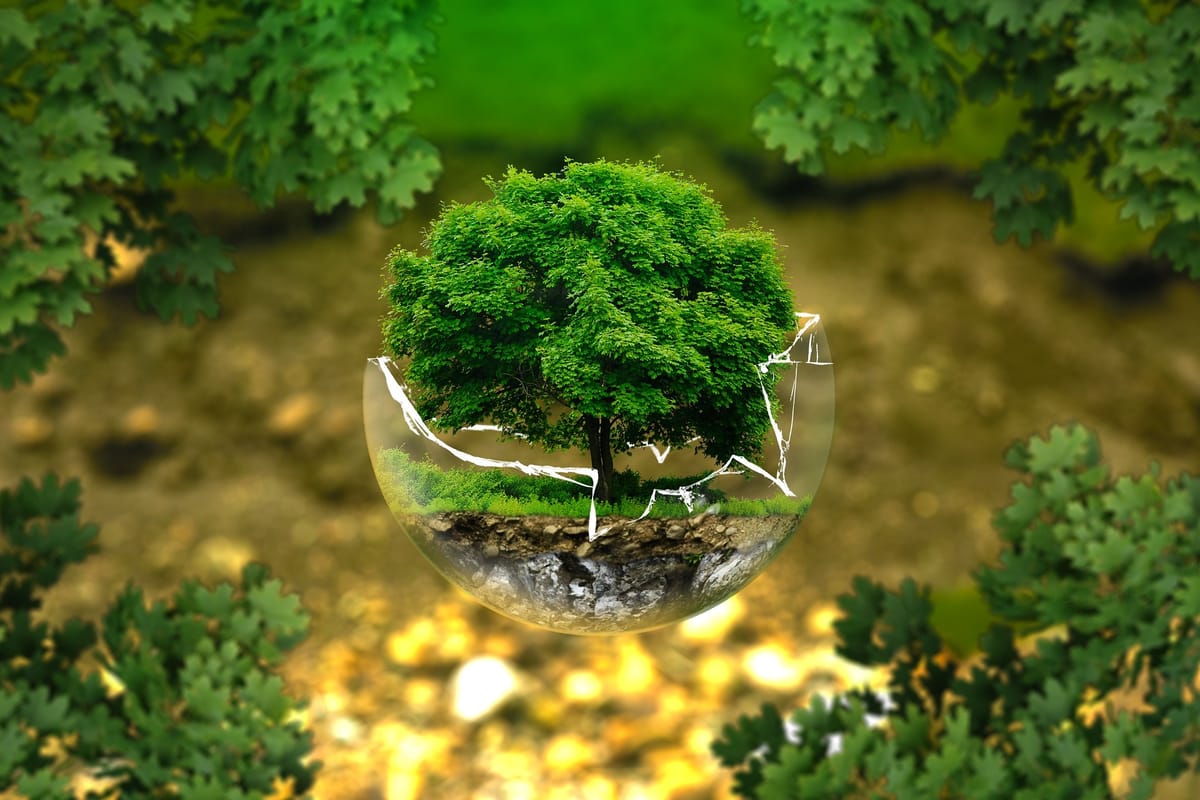 Autistic culture and the conservation of neurodiversity