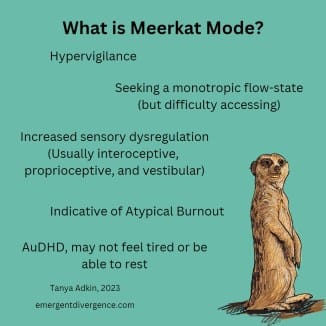 What is meerkat mode and how does it relate to AuDHD?