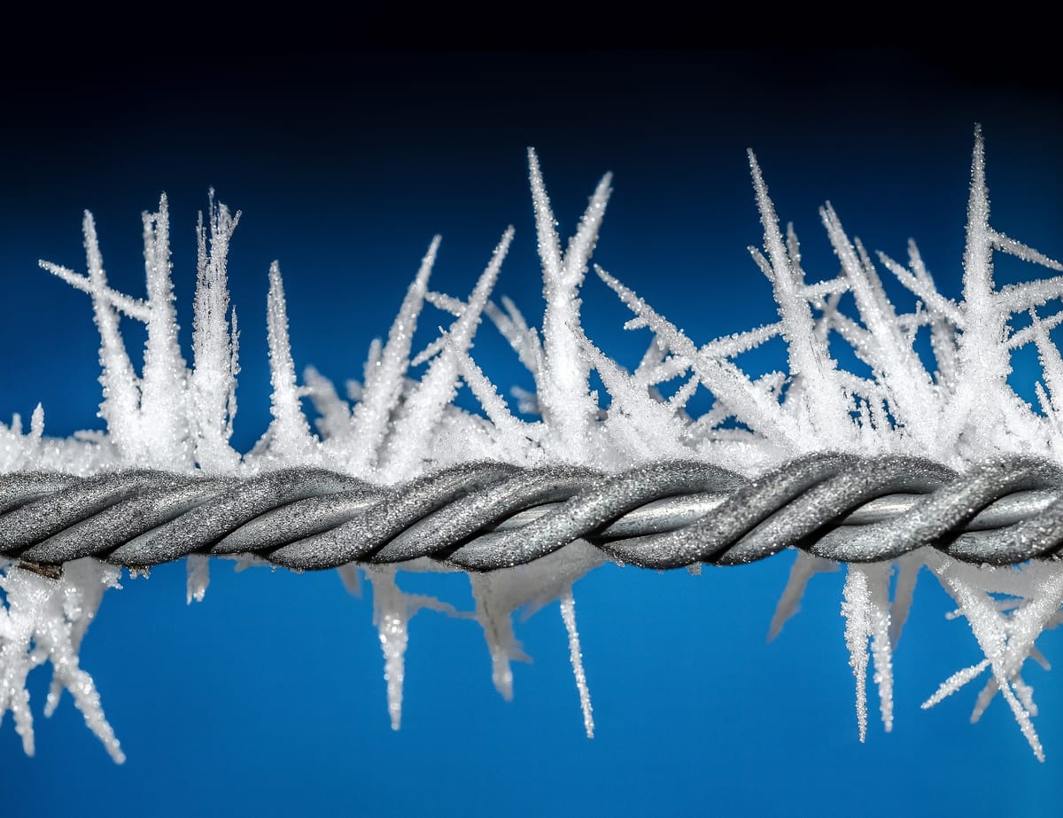 Neurodivergence and Normality: The meaning of words