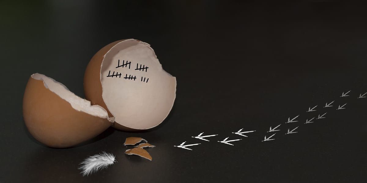 Neuroqueer theory and the advent of social DEcontructivism