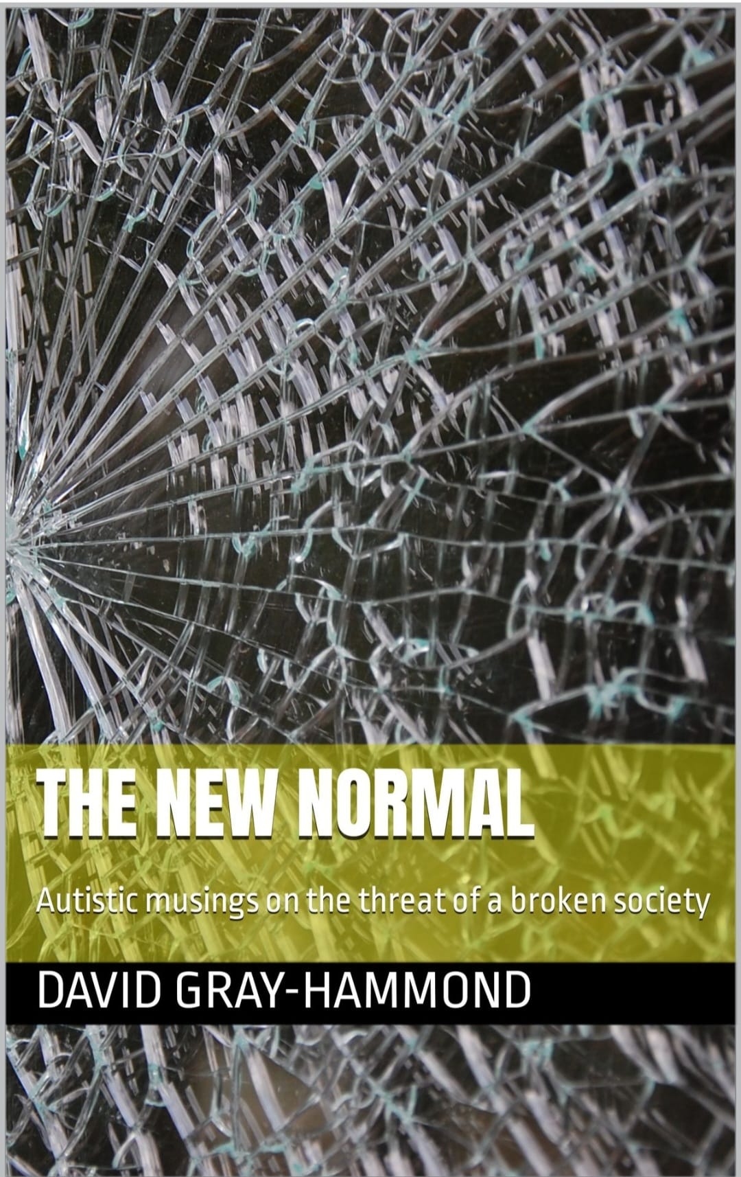 My first book "The New Normal" has been published!