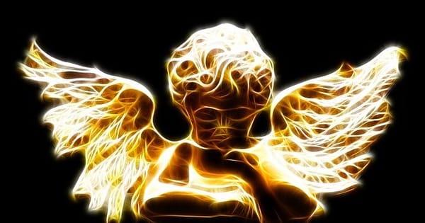 Lessons I have learned about trauma