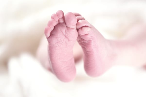 Autistic Parenting: Parenthood in it's infancy