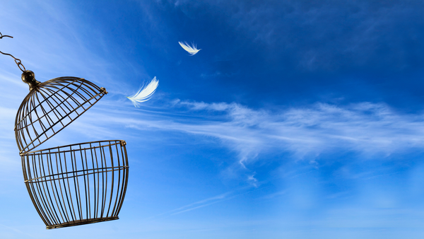 The Solitary Container