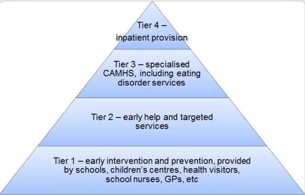 How CAMHS tier system obstructs Autistic young people from accessing support