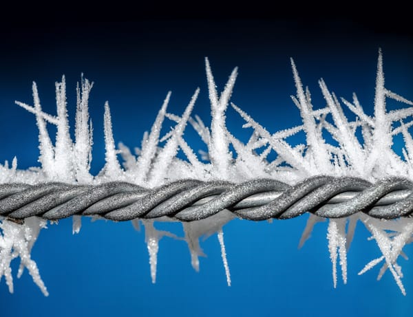 Neurodivergence and Normality: The meaning of words