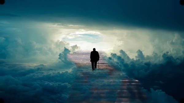 What grief has taught me about my responsibility to the world