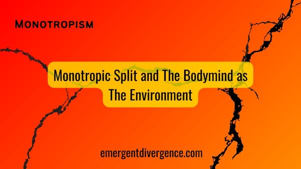 Monotropism: Monotropic Split & The Bodymind Environment