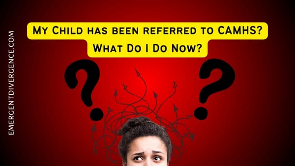 CAMHS: My Autistic Child's been referred... Now what?
